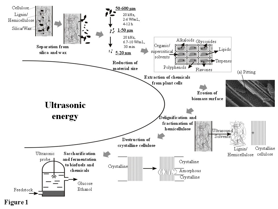 Fig.1